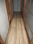 IMG_0981.jpg