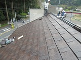 IMG_1681.jpg