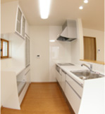 見どころポイント