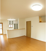 見どころポイント