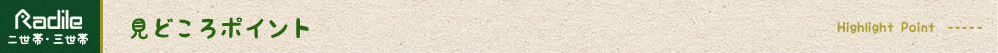 見どころポイント